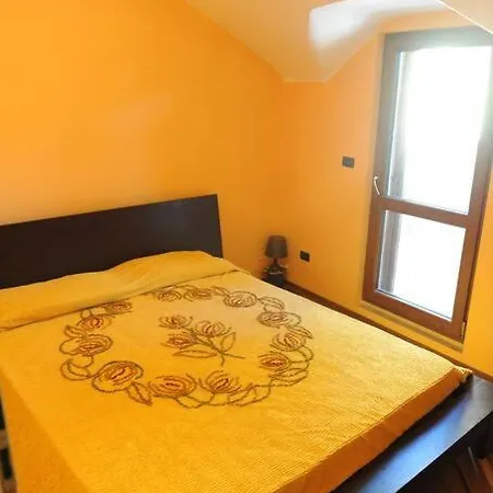 Accogliente Immersa Nel *