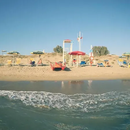 Accogliente Immersa Nel