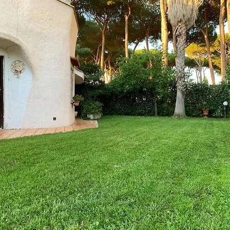 Accogliente Immersa Nel